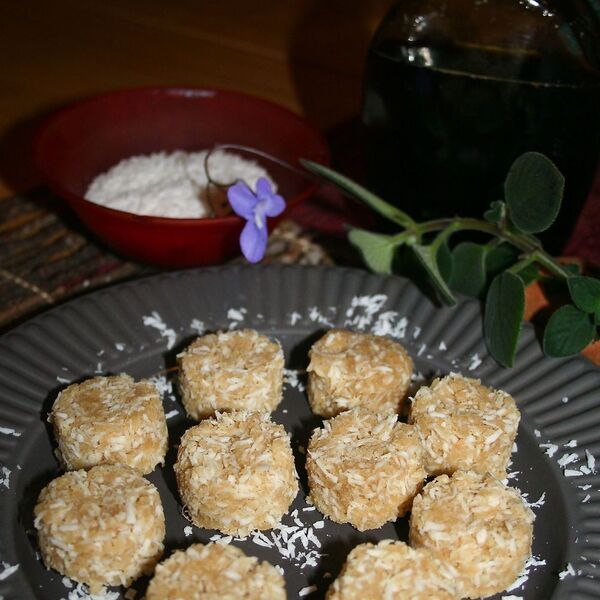 Raw Vegan Coconut Macaroons