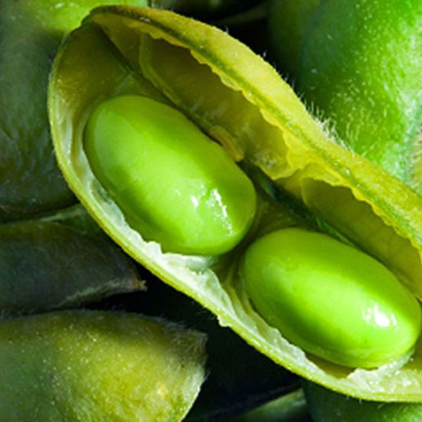 Edamame Spread