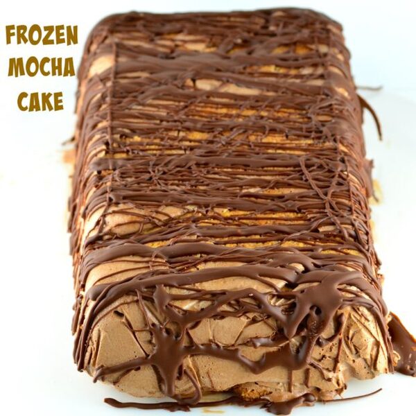 Vegan Frozen Mocha Cake (Gluten Free)