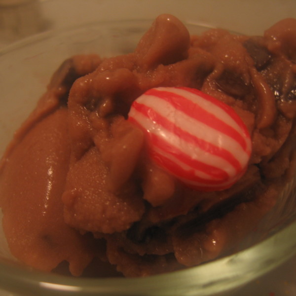 Vegan Peppermint Chocolate Chip Frozen Dessert