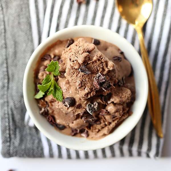 Vegan Double Chocolate Ice Cream