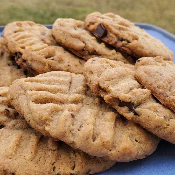 Vegan Chocolate Almond Butter Cookies