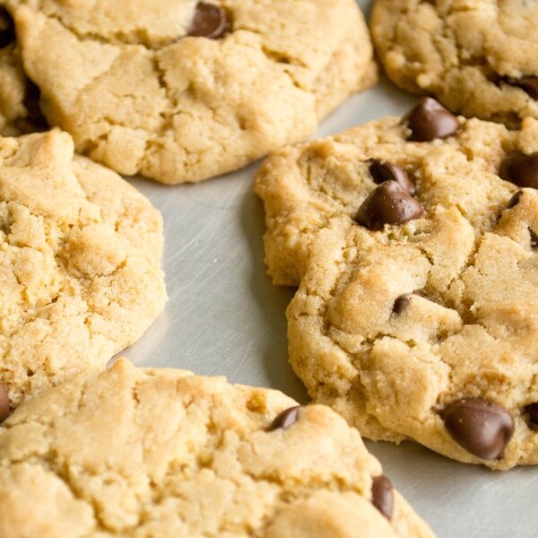 Who-knew-they-were-vegan chocolate chip cookies