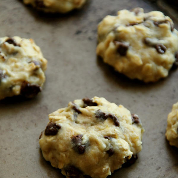 Vegan Chocolate Chip Banana Bread Oatmeal