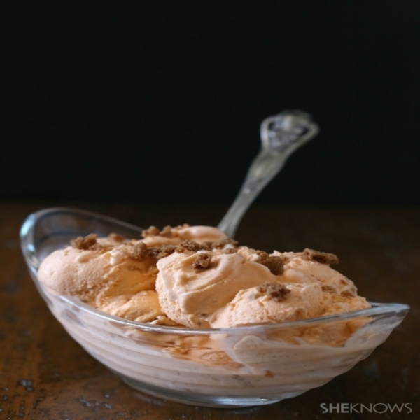 Vegan pumpkin ice cream is packed with fall flavor