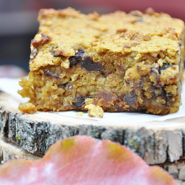 Vegan, Gluten Free Chocolate Chip Pumpkin